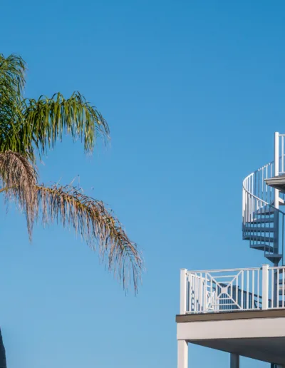 A house with a palm tree and a spiral staircase.