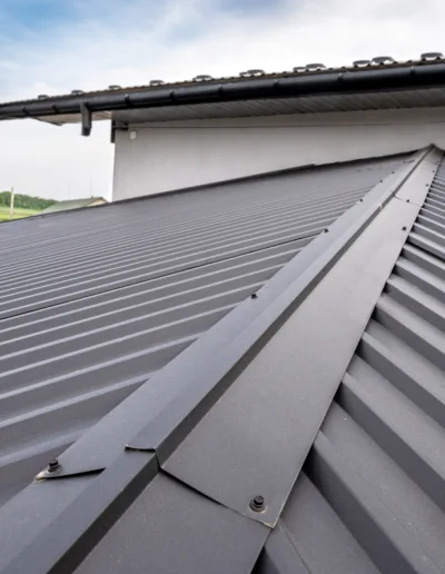 The roof of a house with a metal roof.
