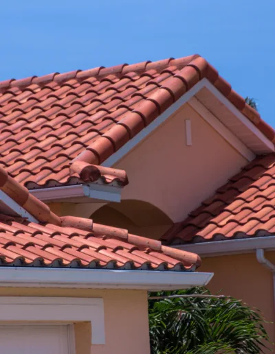 A tiled roof with a palm tree in the background.